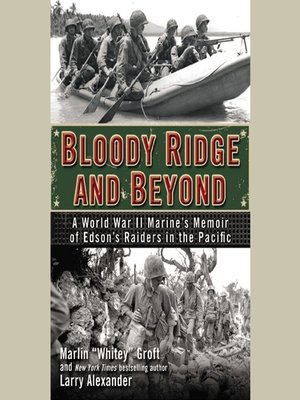 cover image of Bloody Ridge and Beyond